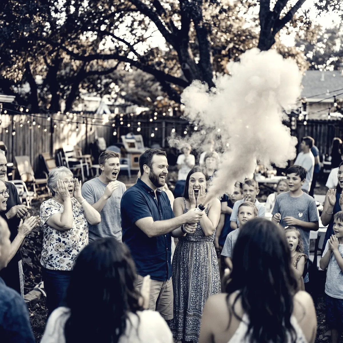 Duotone Blue photo filter example